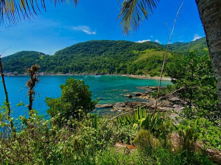 Pousada Toca da Praia Maresias (228)